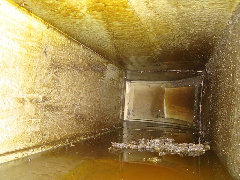 limpieza robotizada de conductos de extracción de grasas