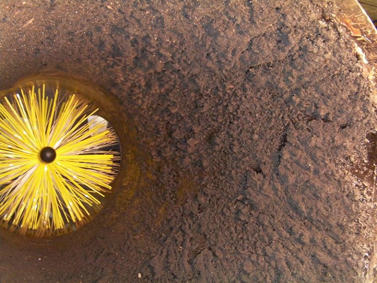 limpieza robotizada de conductos de extracción de grasas